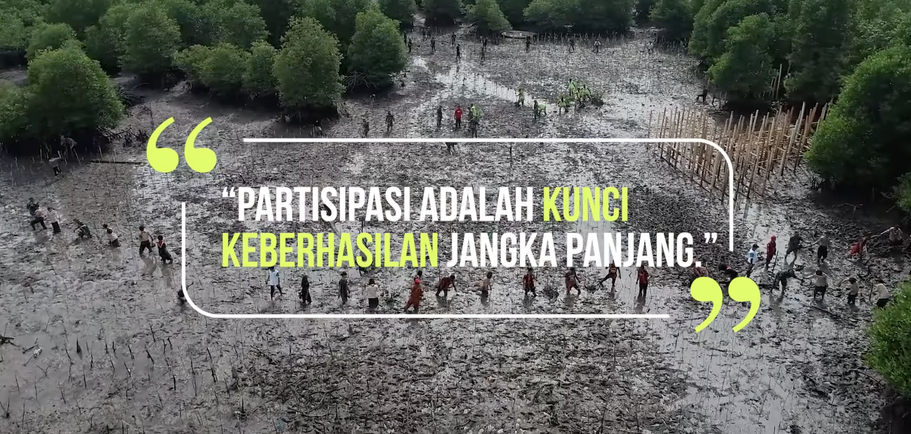 Strategi Pemulihan Ekosistem Mangrove